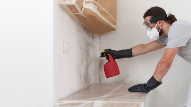 Professional Bathroom Mold Removal technician working in Little Falls, MN