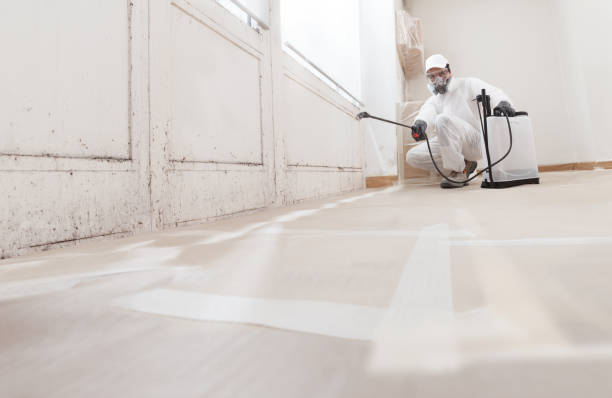 24/7 Emergency Bathroom Mold Removal experts in Little Falls, MN
